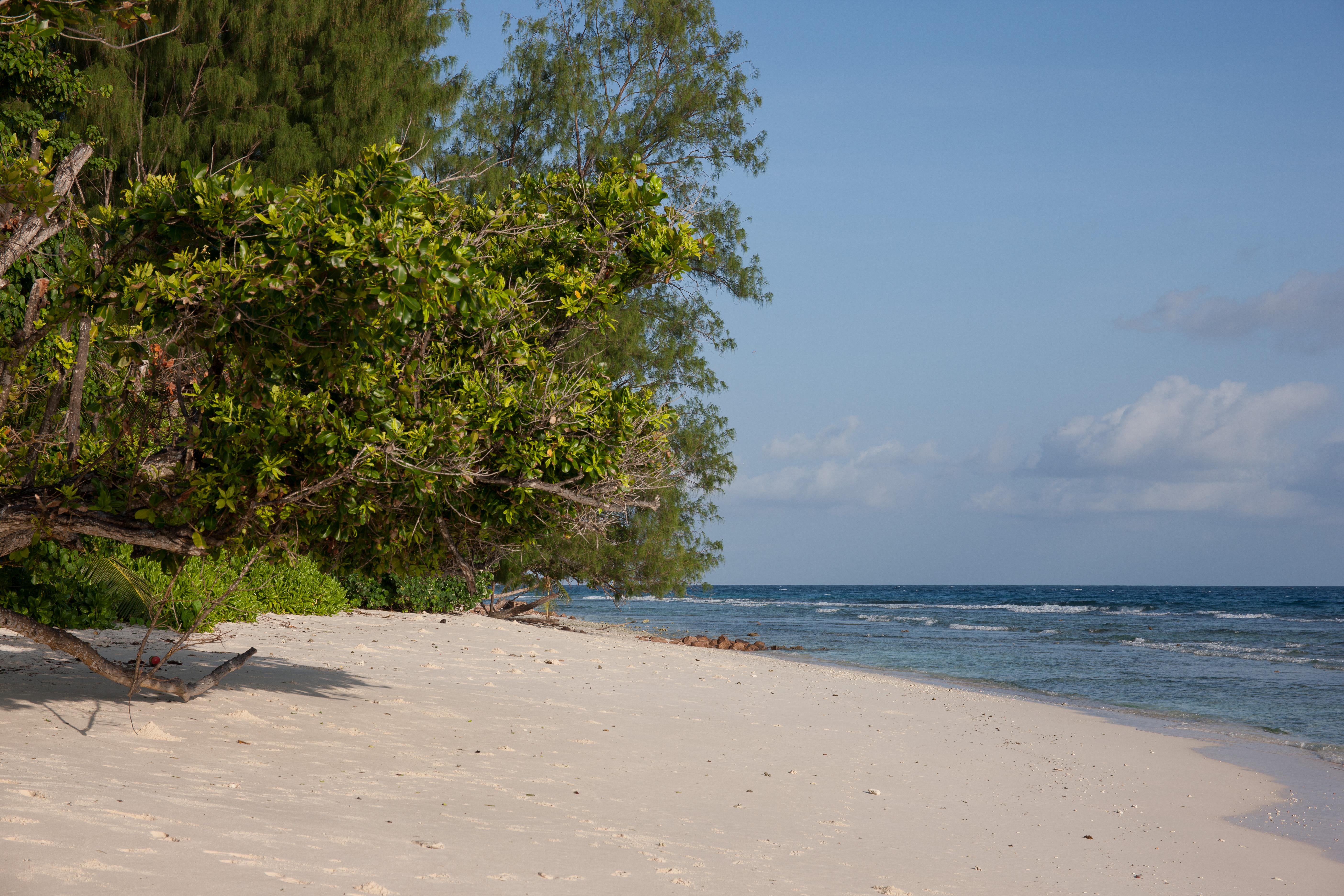 Le Relax Luxury Lodge La Digue  Extérieur photo